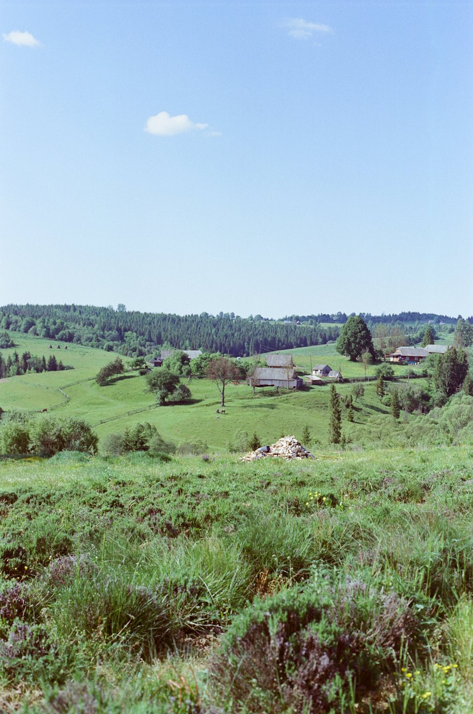 Rolling green hills with rustic farmhouses under a blue sky.