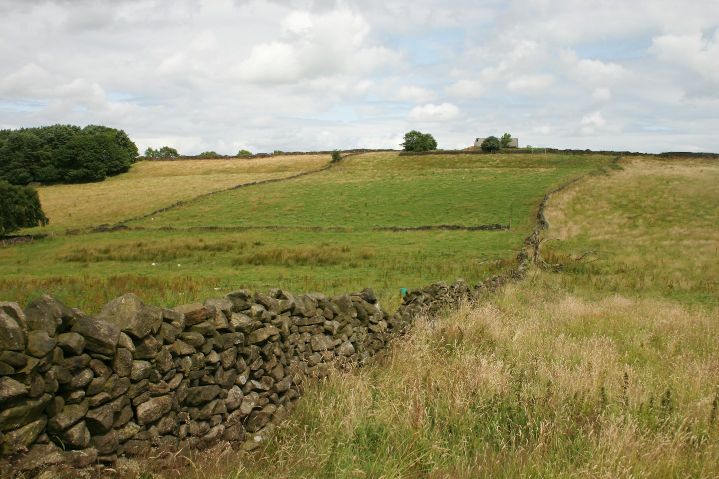 Rolling hills divided by stone walls with a distant building.